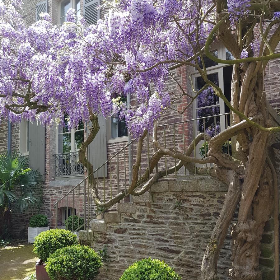 Castel Jolly Bed & Breakfast Rennes Eksteriør bilde